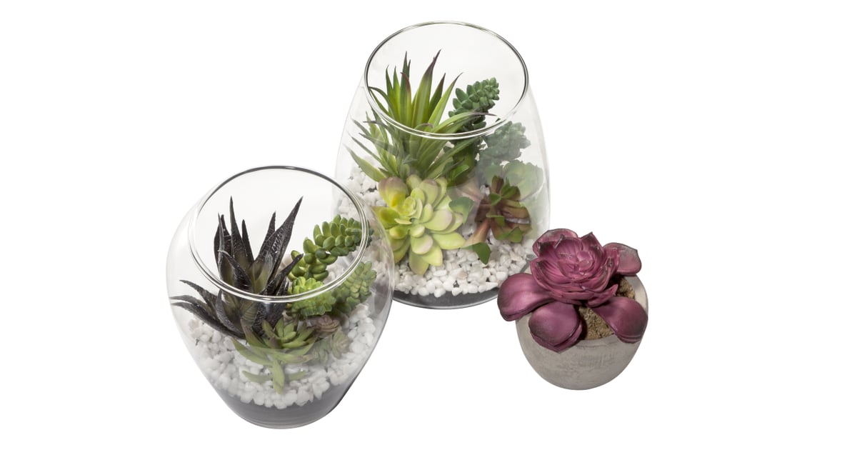 Succulent Terrariums (13) and Dark Pink Artificial Succulent (6
