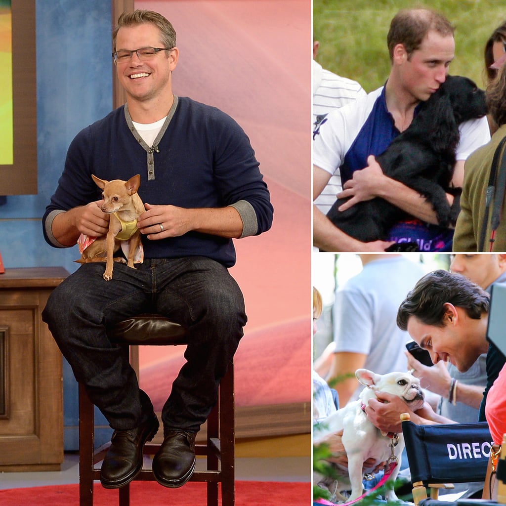 Hot Celebrities With Dogs | Pictures