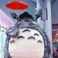 This Might Be the Best Totoro Cosplay We’ve Ever Seen