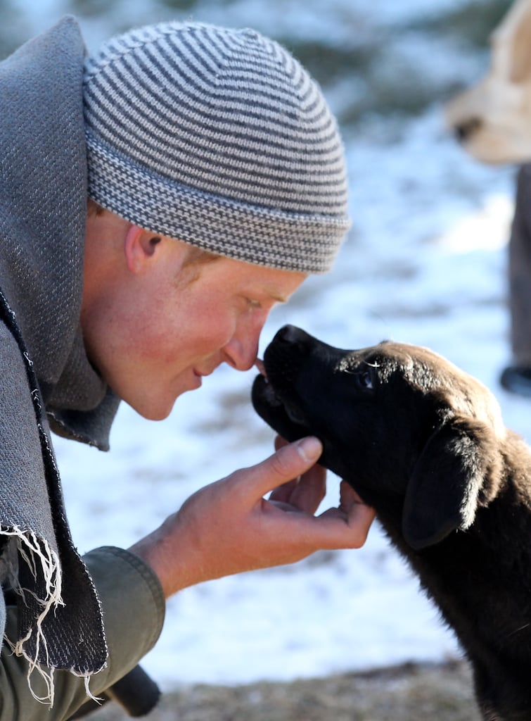 Prince Harry got licked on the nose by a puppy in Lesotho during a visit in June 2010.