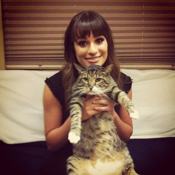 She posed with Chris Colfer's cat, Brian, in September 2012.
Source: Instagram user msleamichele