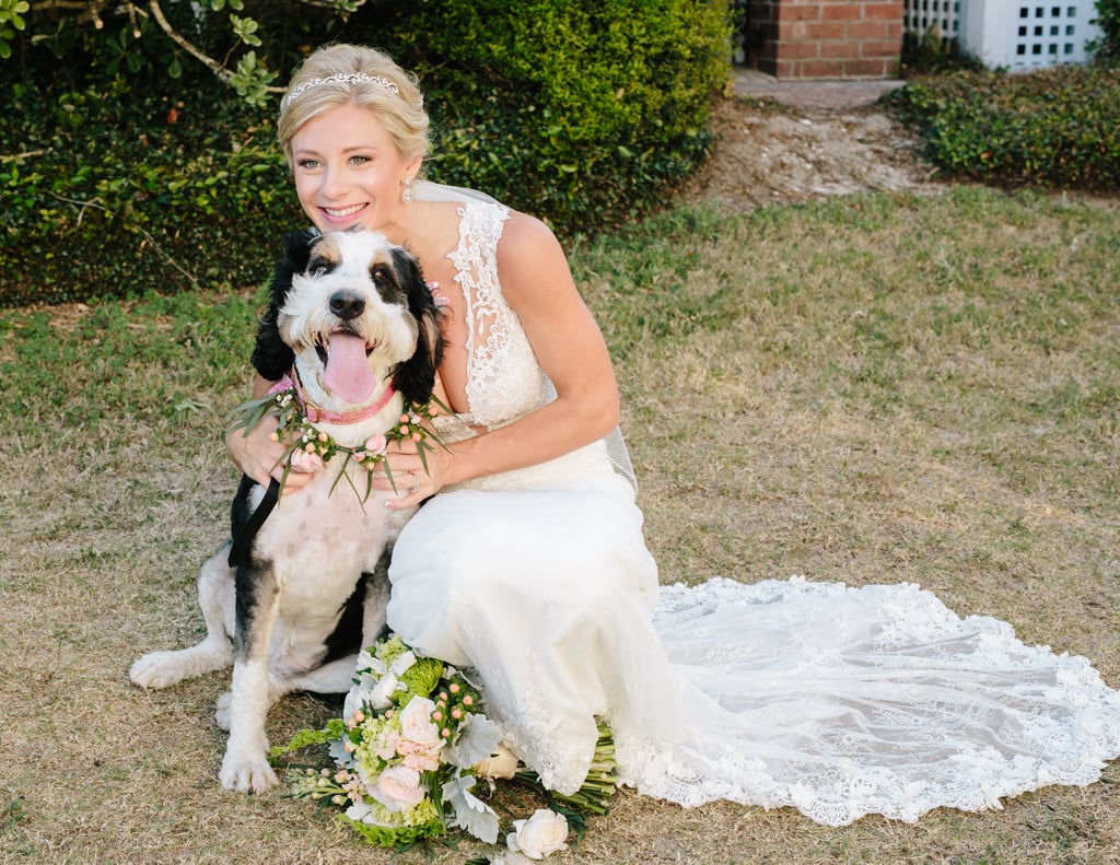 Dogs in Weddings