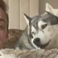 A Healthcare Worker and His Husky Covered "Lean on Me," and That Dog's Vibrato Is Wild