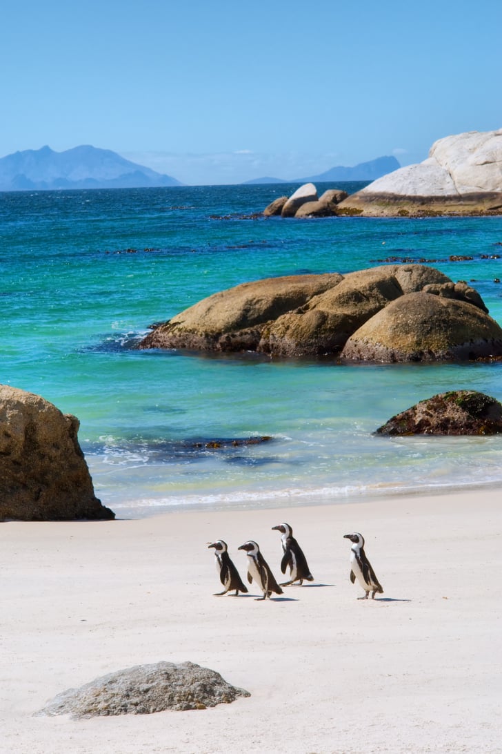Cape Town, South Africa | 25 Top World Destinations in