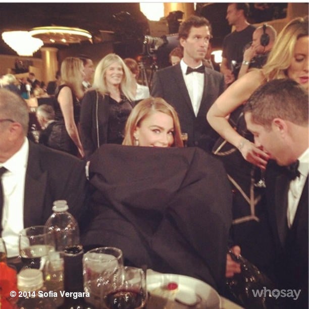 She got a little wild as the night went on, hiding herself in her large dress.
Source: Instagram user sofiavergara