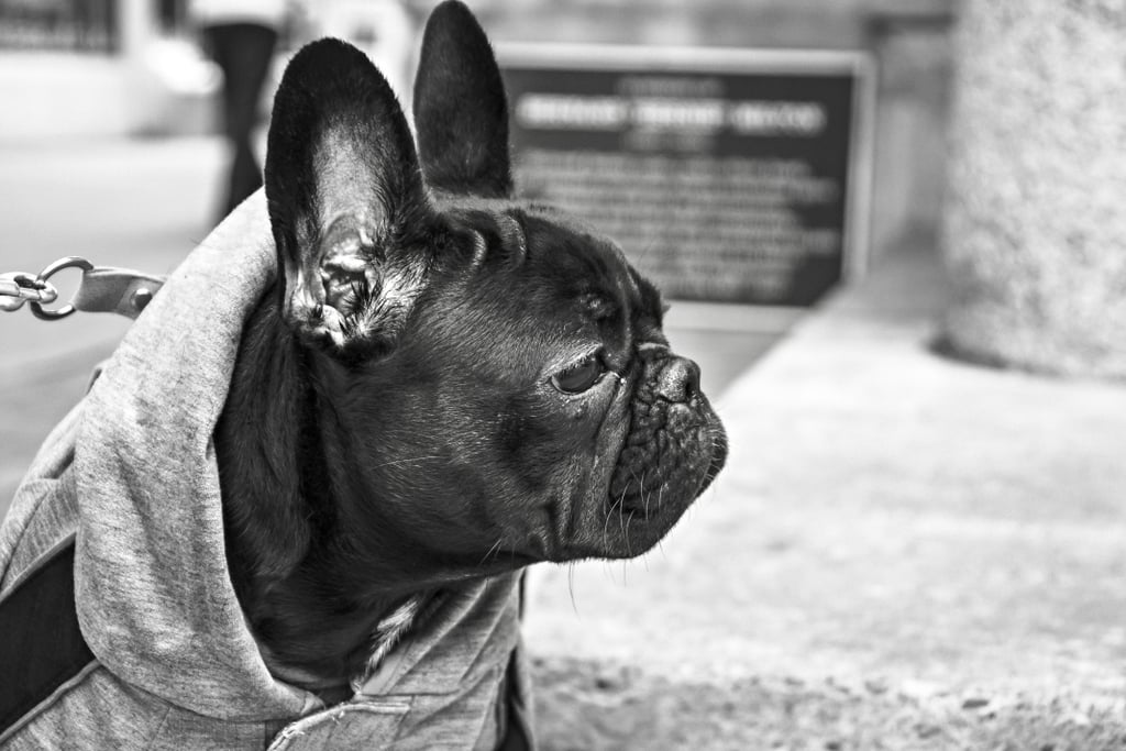 Be all ears — listening is an act of love.