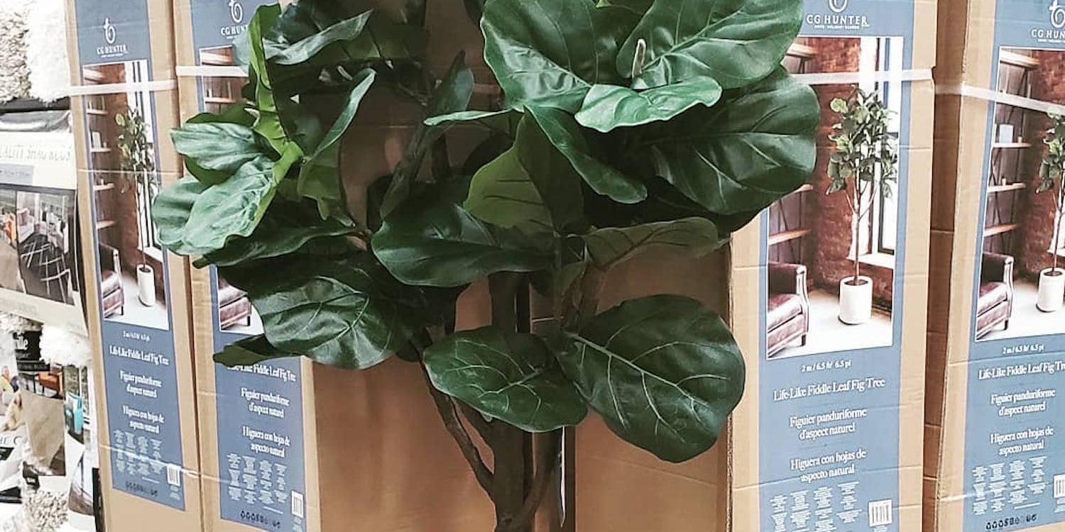 Costco's Faux Fiddle Leaf Fig Trees POPSUGAR Home