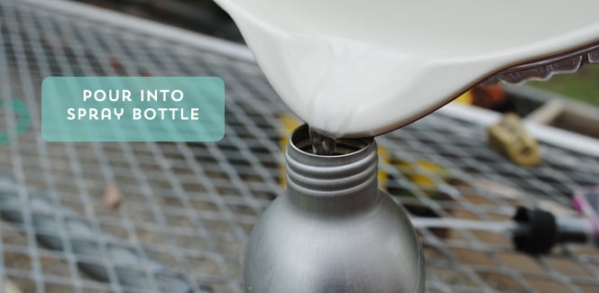 Pour Into Spray Bottle