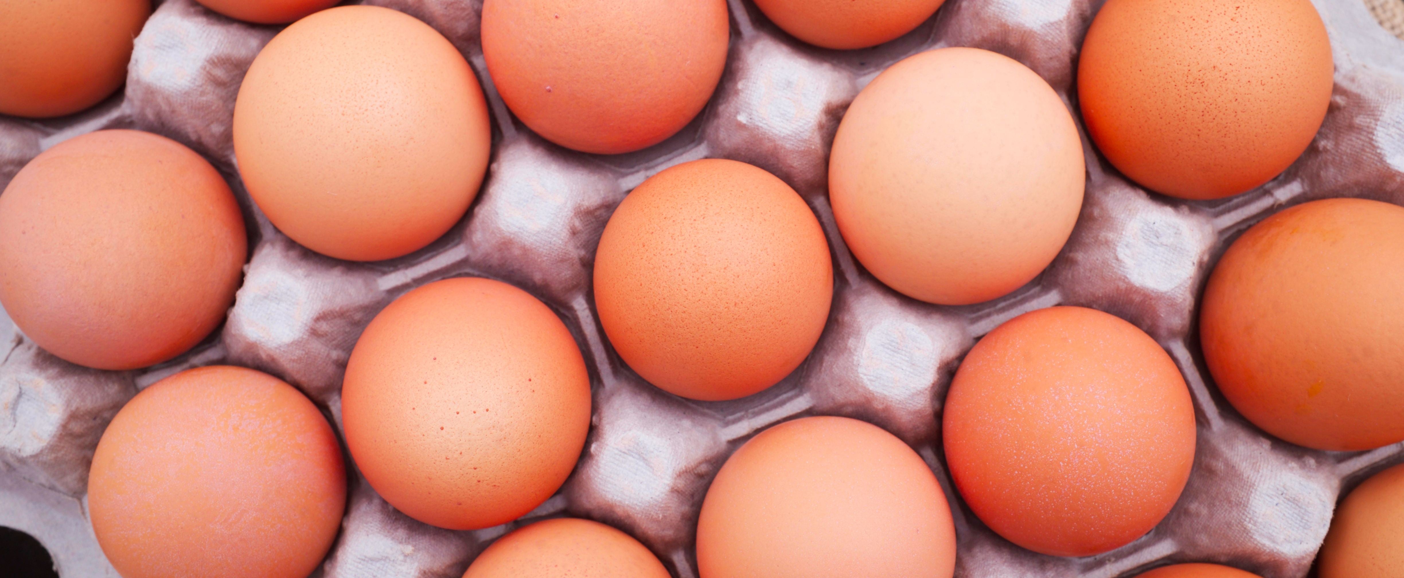 Should You Refrigerate Eggs? | PS Food