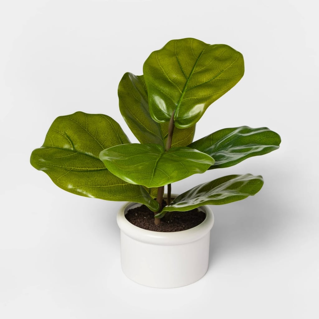 Artificial Fiddle-Leaf Fig in Ceramic Pot