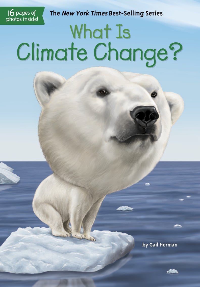 Books For Kids About Climate Change and Global Warming POPSUGAR Family