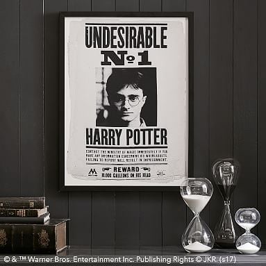 Undesirable No. 1 Framed Wall Art