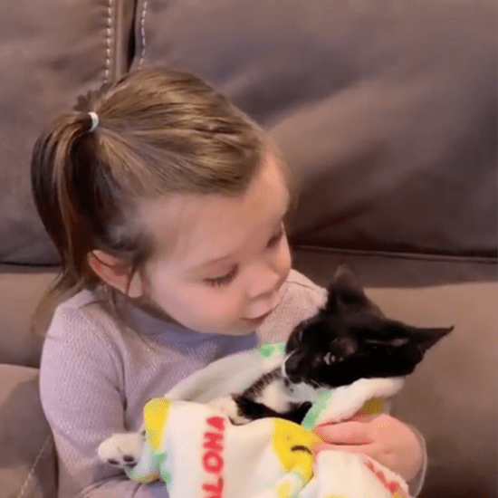 Video of Little Girl Saying Goodbye to Her Cat