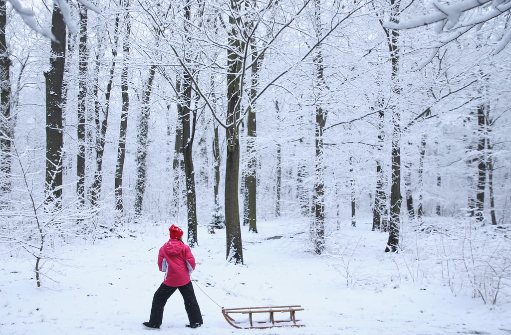 In Berlin, Germany, a girl pulled her sled through the snowy forest.
