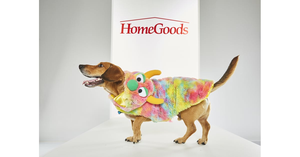 Pet Halloween Costumes From HomeGoods POPSUGAR Home Photo 8