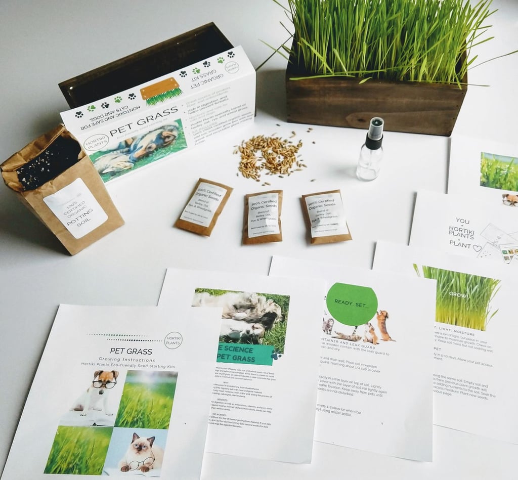 Hortiki Plants Pet Grass Seed Kit The Best Gardening Kits From