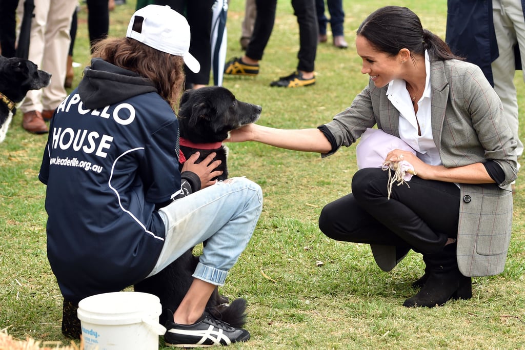 Meghan Markle With Animals Pictures