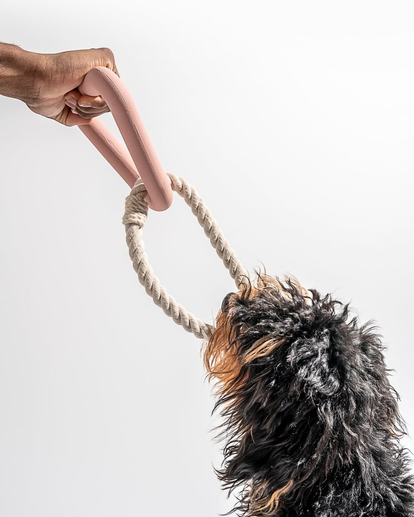 15 Cute and Sustainable Dog Toys