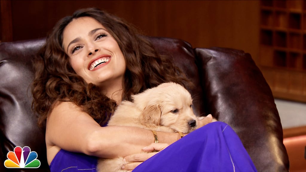 When She Just Loved Having Puppies All Over Her