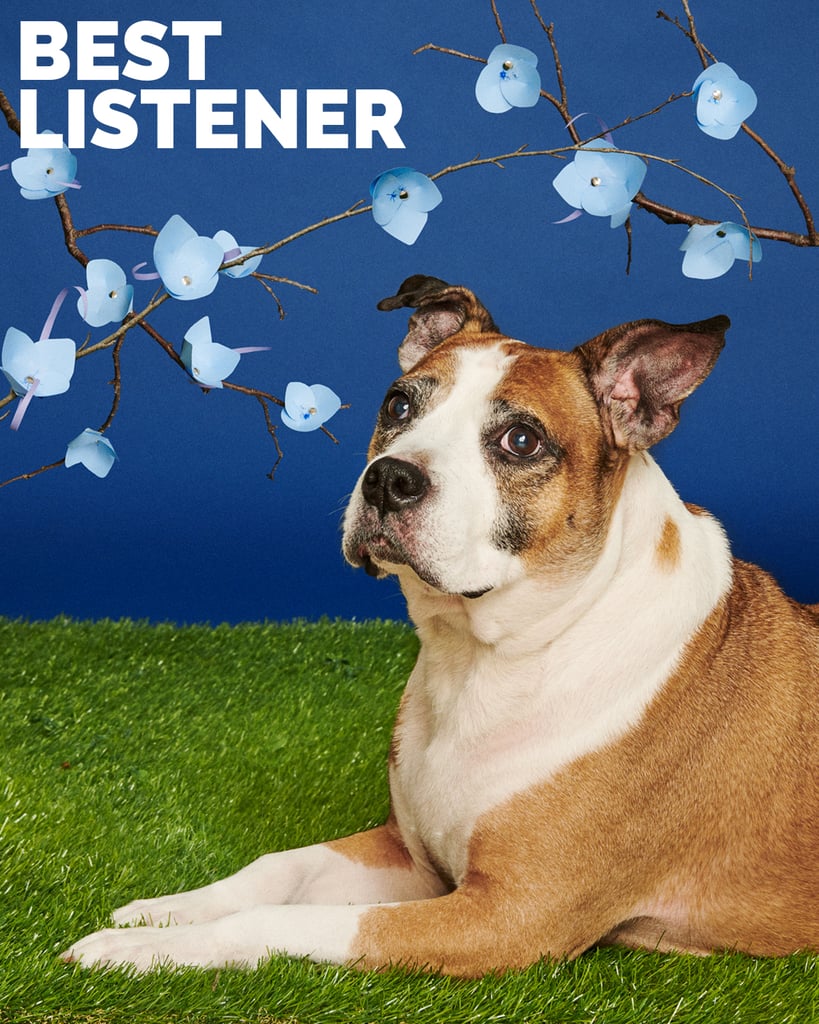Woody, Best Listener