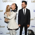 Can Every Red Carpet From Now on Have Tessa Thompson and Justin Theroux Posing With Pups?