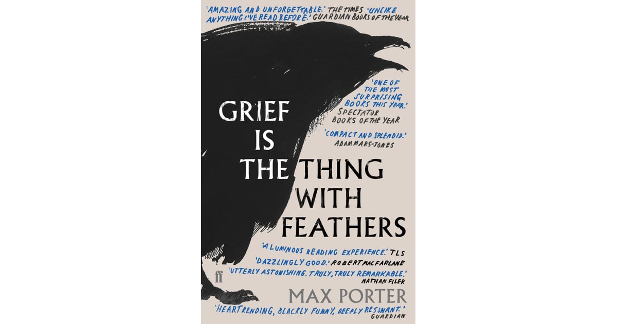 grief is the thing with feathers book review