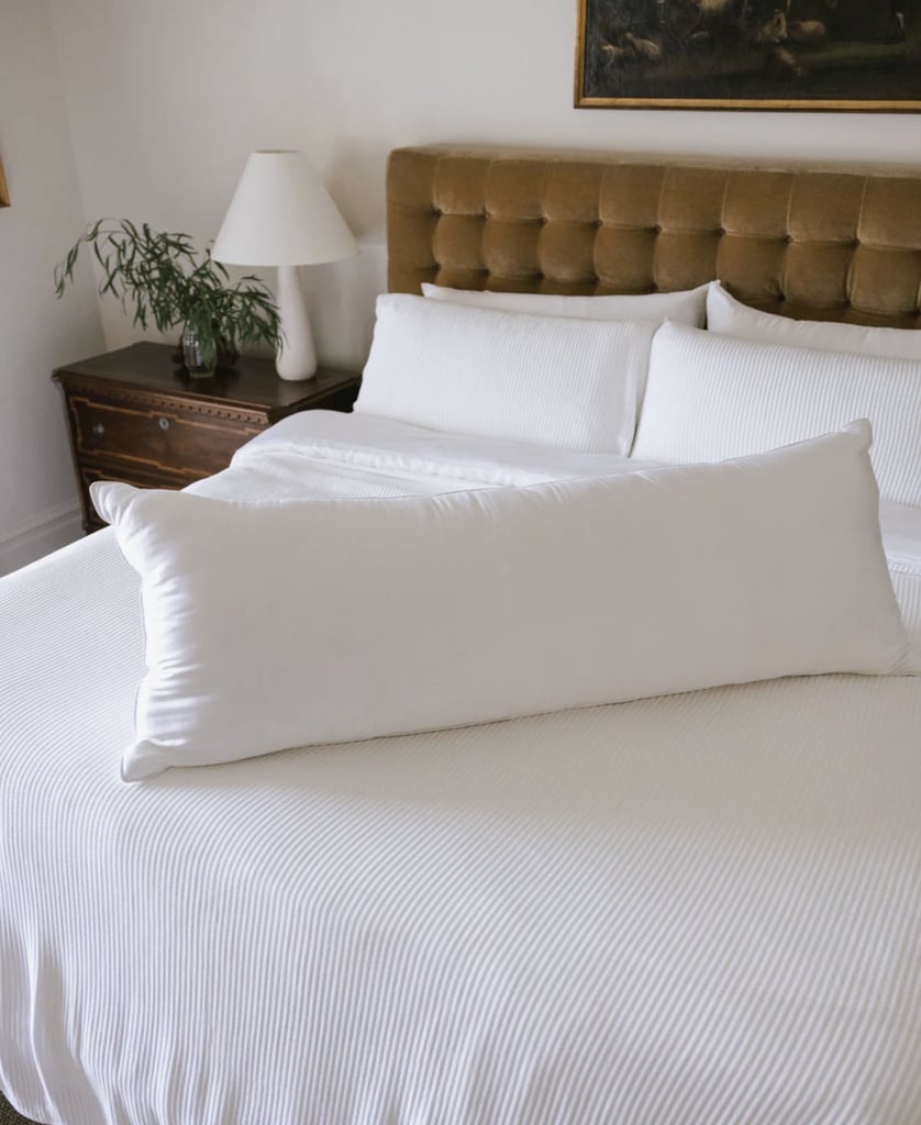 Cozy Earth Bamboo Down Alternative Body Pillow