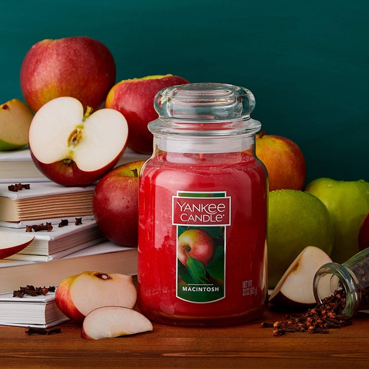 Macintosh Apple Yankee Large Jar Candle The Best Candles on Amazon