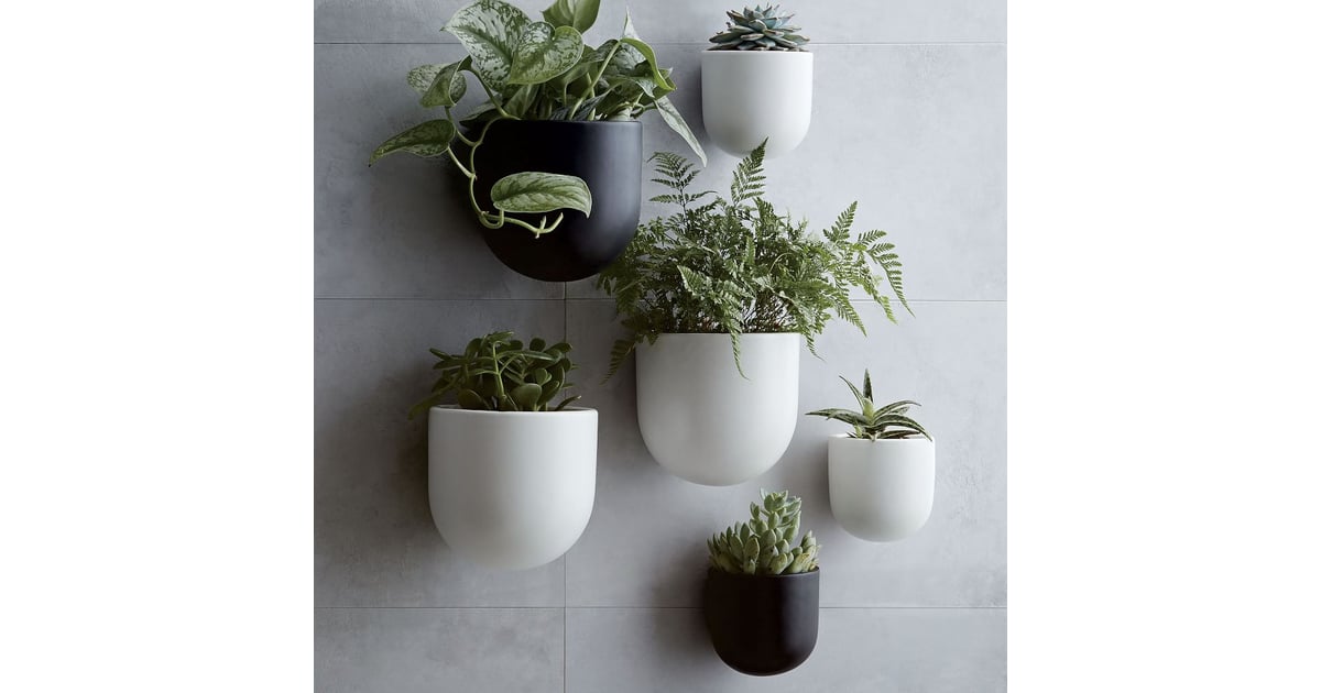 West Elm Ceramic Indoor/Outdoor Wallscape Planters Best Outdoor