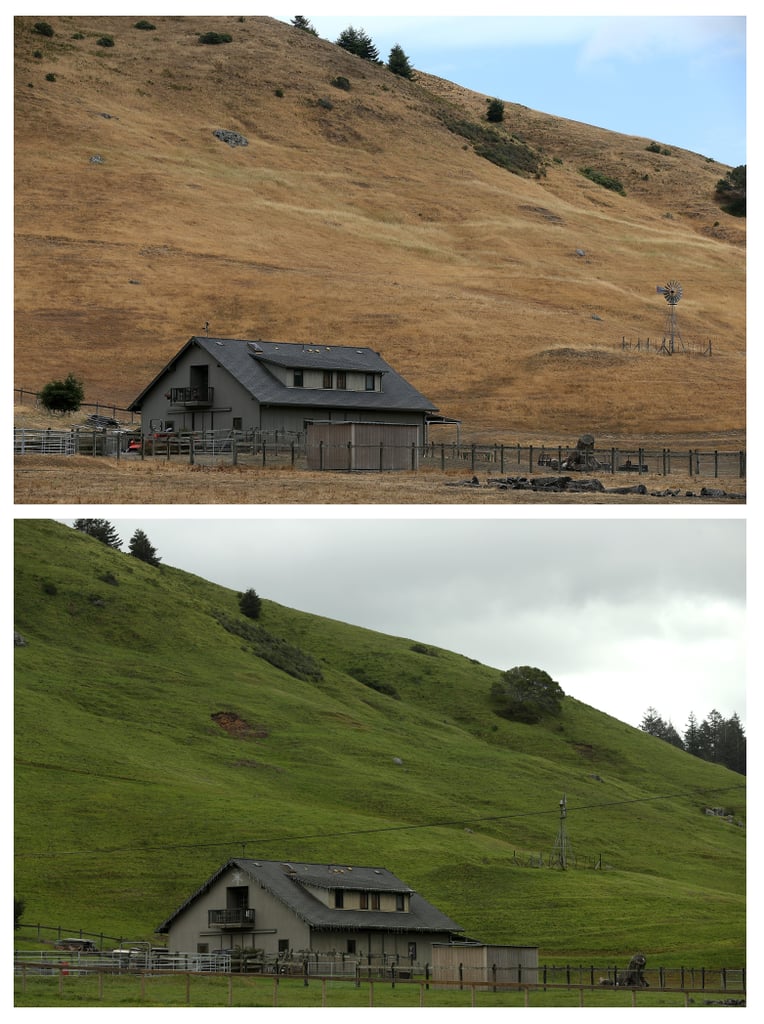 A Field In Nicasio California Before And After Photos Of California Drought Popsugar Australia News Photo 7