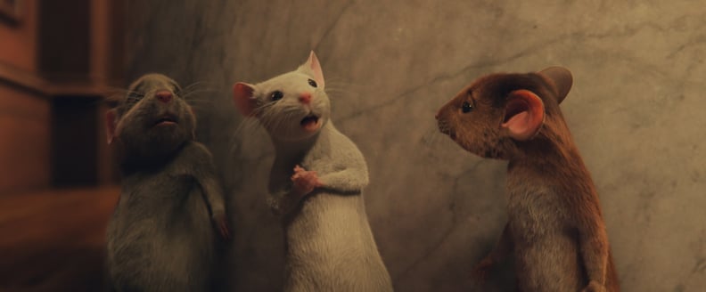 你看到整个电影的小鼠和大鼠。