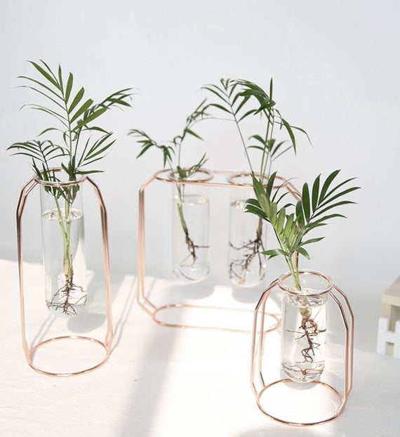 Glass Planter Bulb Vase with Metal Frame