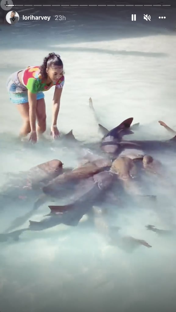 洛丽·哈维在迪奥的t恤和鲨鱼一起游泳去了