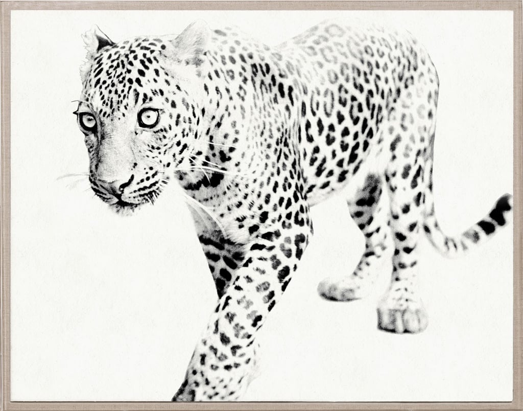 Cruella de Vil: Tylinek Leopard