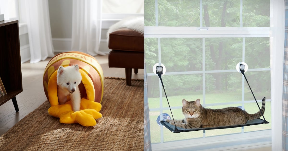 Best Chewy Black Friday Pet Sales and Deals 2021 POPSUGAR Pets