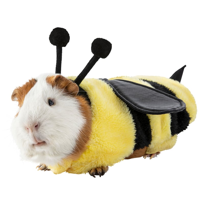 Thrills & Chills Small Pet Costume — Bee
