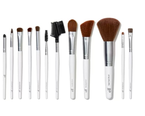 Professional Set of 12 Brushes
