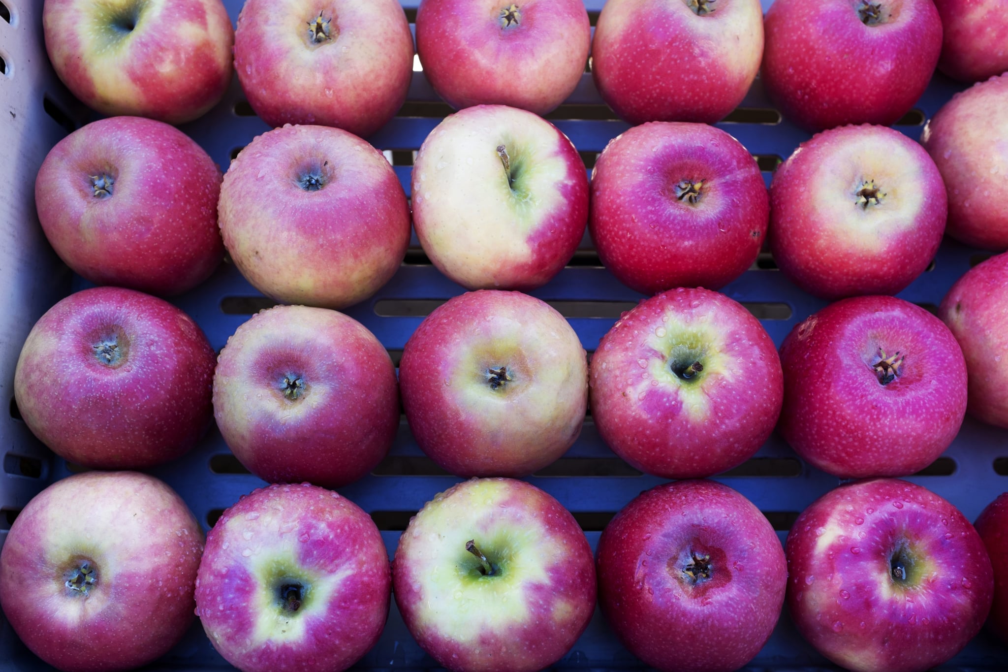 Best Apple Orchards in America POPSUGAR Smart Living