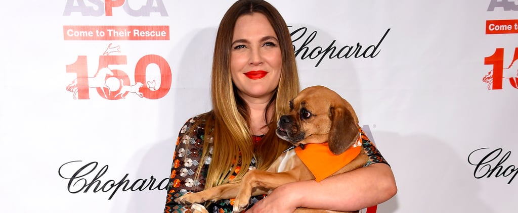 Drew Barrymore at ASPCA Bergh Ball 2016 Pictures