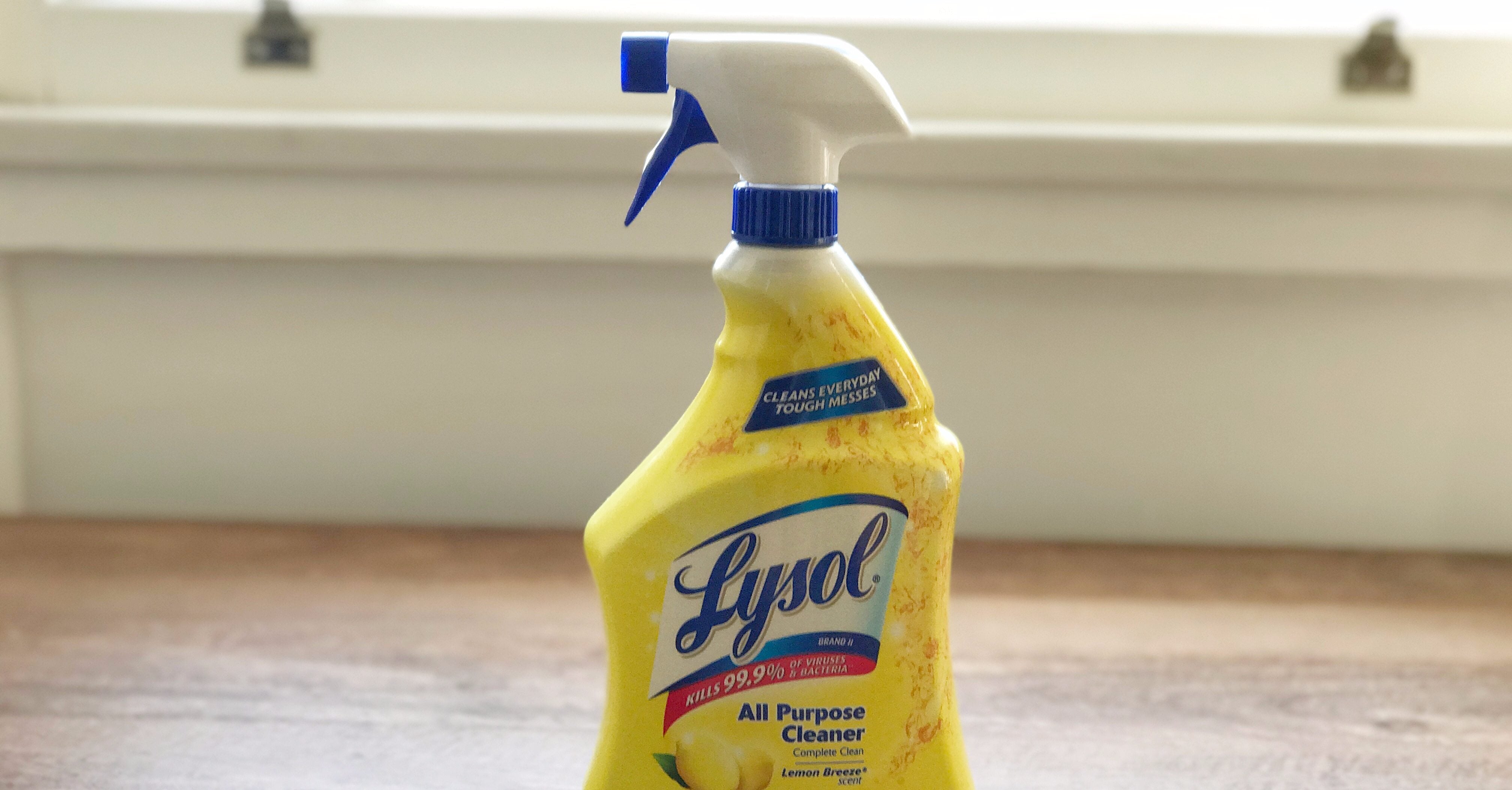 Do AllPurpose Cleaners Kill Ants? POPSUGAR Smart Living