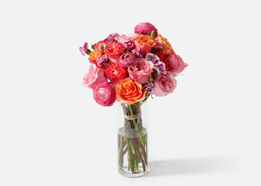 For People Who Love Color: Urbanstems The Romeo