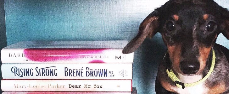 Animals With Books | Pictures