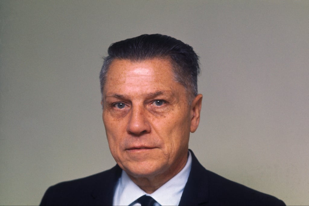 Did Frank Sheeran Kill Jimmy Hoffa?