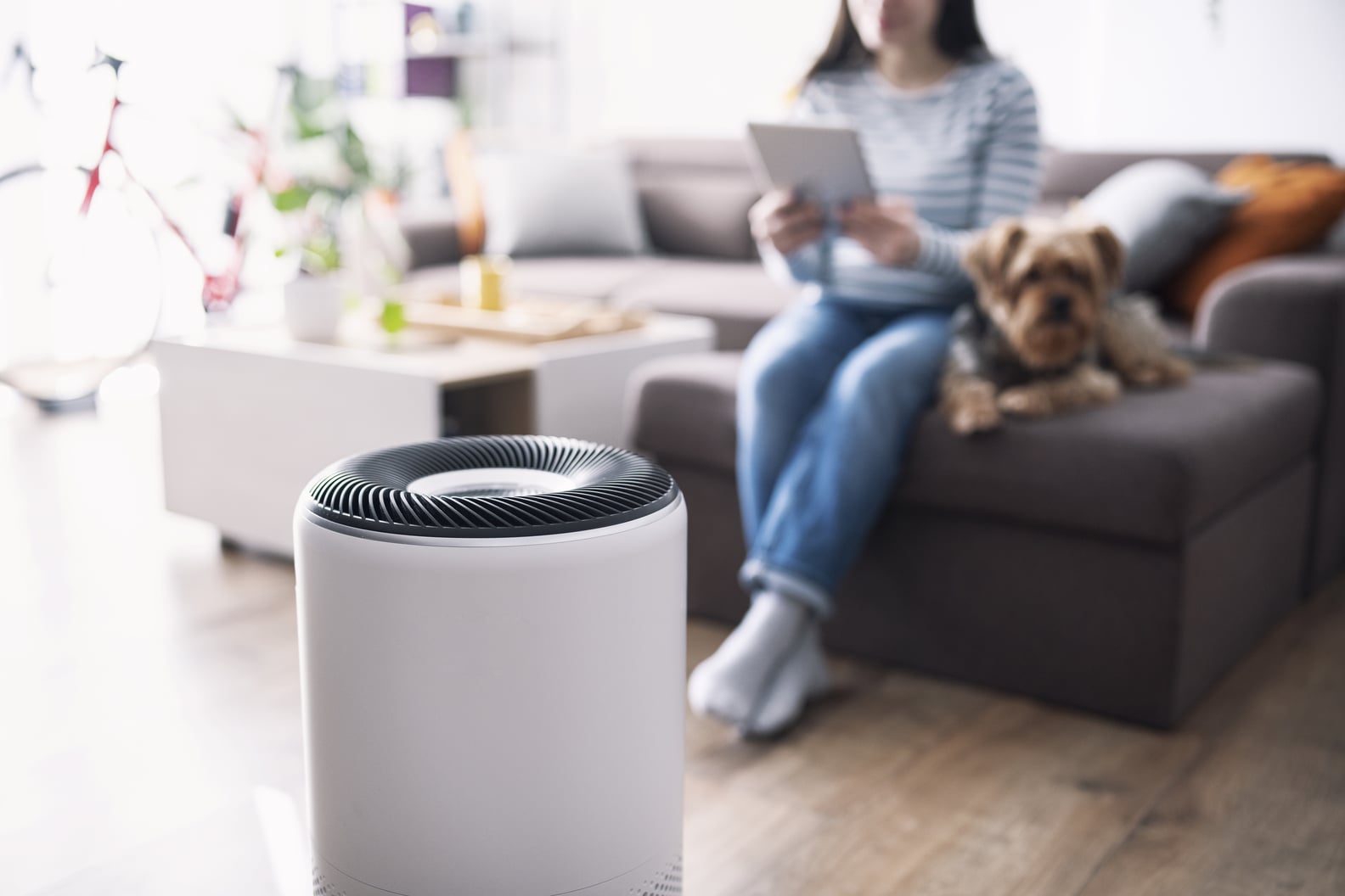 Best Air Purifiers on Amazon 2023 POPSUGAR Smart Living