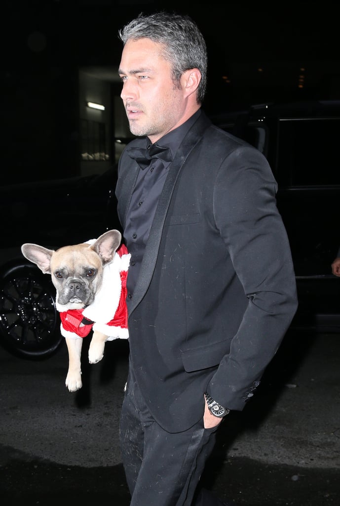 Lady Gaga and Taylor Kinney Dress Their Dogs Like Santa