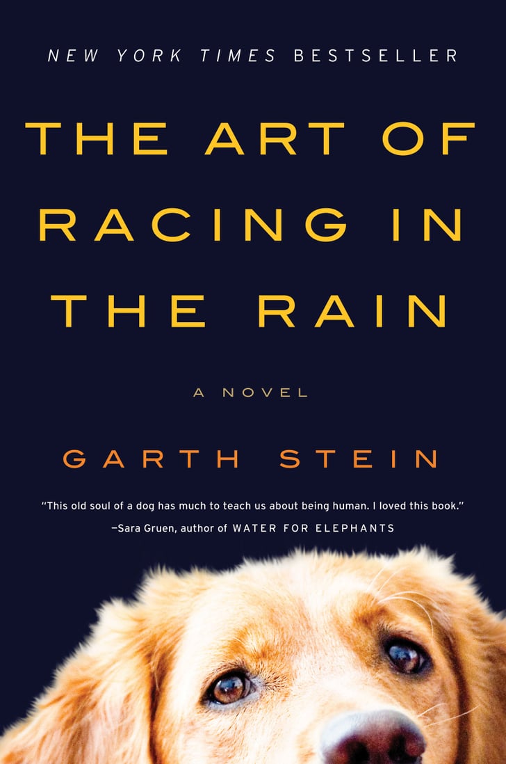 art of racing in the rain book review