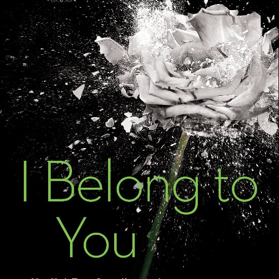 I Belong to You by Lisa Renee Jones Book Excerpt
