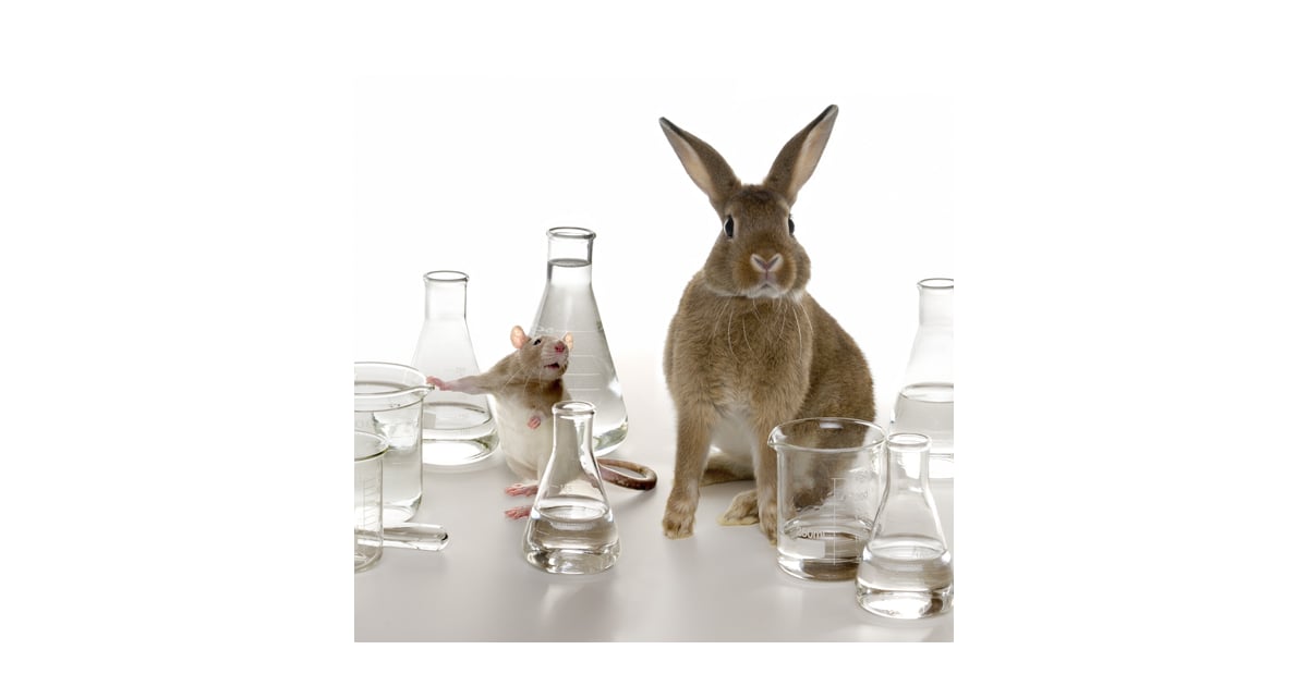 L'Oreal and ToxCast Aim to End Animal Testing POPSUGAR Beauty Australia