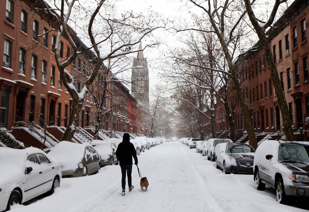 After a heavy snowfall in NYC, a man walked his dog through the street in Brooklyn.