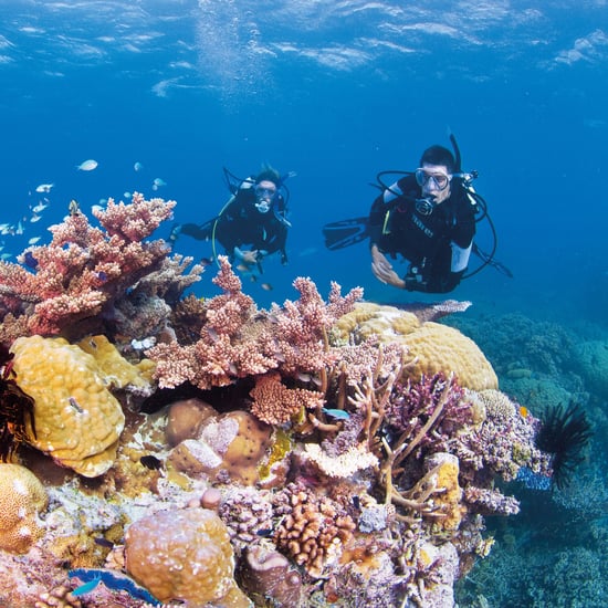 When Will Interstate Travel Restrictions Lift in Australia